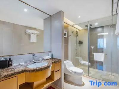 Grand Skylight Catic - 79