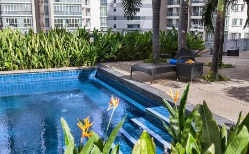 Ascott - 12