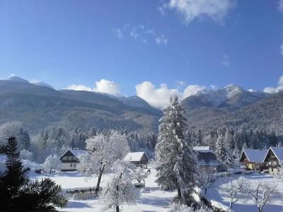 Gasperin Bohinj - 47
