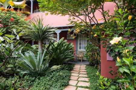 Hacienda de Abajo-Adults Only - 21