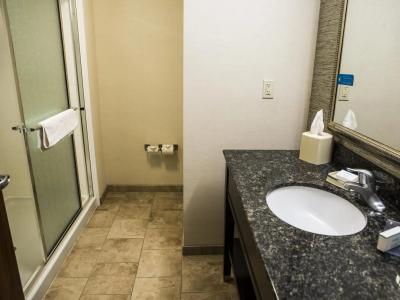 Hampton Inn & Suites - 43