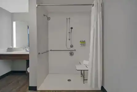 Holiday Inn Express - Houston - Galleria Area, An Ihg - 8