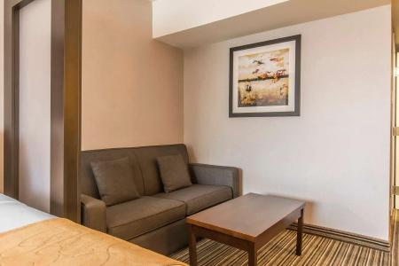 Comfort Suites Downtown - 4