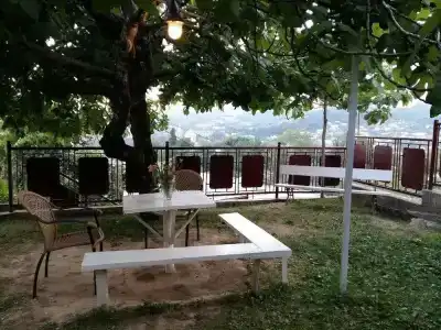 Green House - 11