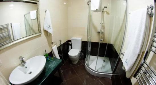 Vilesh Palace - 8