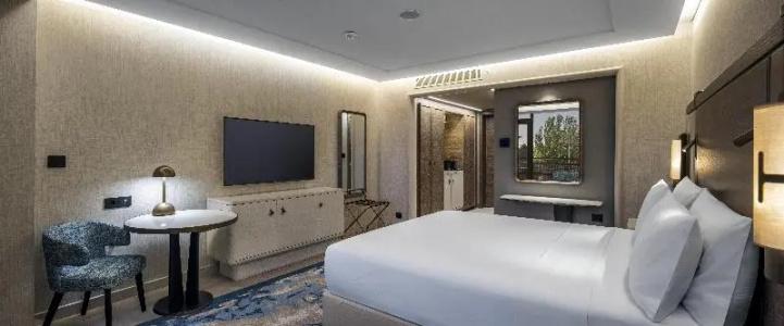 Hilton Istanbul Bosphorus - 65