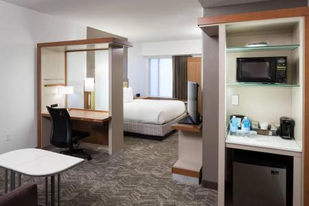 SpringHill Suites by Marriott Orlando at SeaWorld - 32