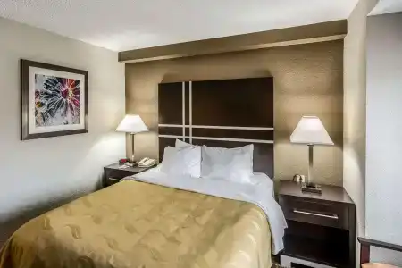 Quality Inn & Suites I-10 - 33