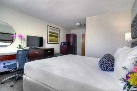 Maple Tree Inn - 4