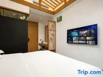 Holiday Inn Express Shanghai Pujiang, An Ihg - 89
