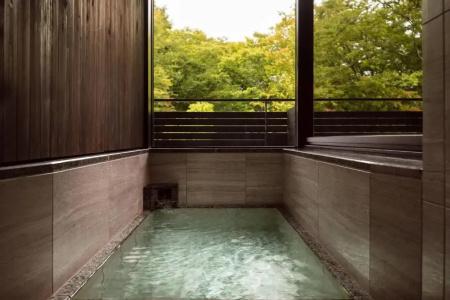 Karuizawa Marriott - 55
