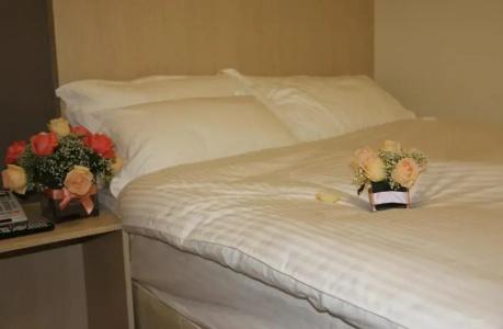 Setia Inn - 10
