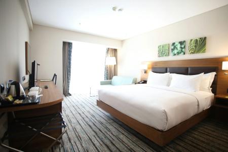 Hilton Garden Inn Ankara Gimat - 2