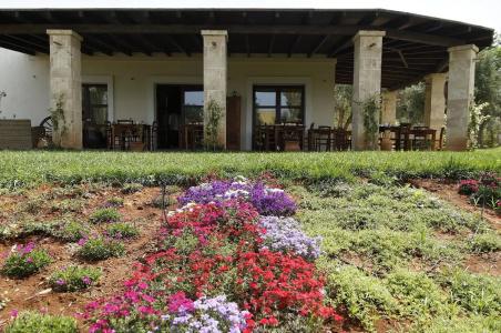 Agriturismo Calamate - 6