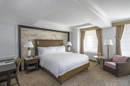 The Ritz-Carlton New York, Central Park - 59