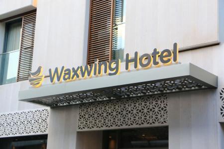 Waxwing - 0