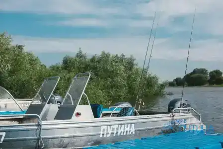 Путина - 11