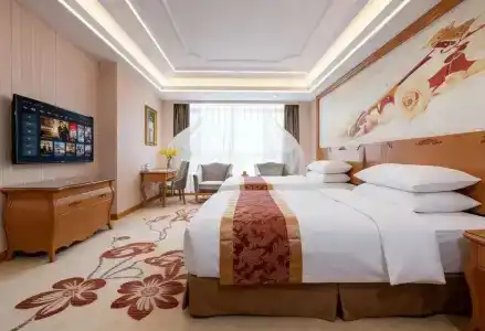 Vienna Dongguan Shi - 8