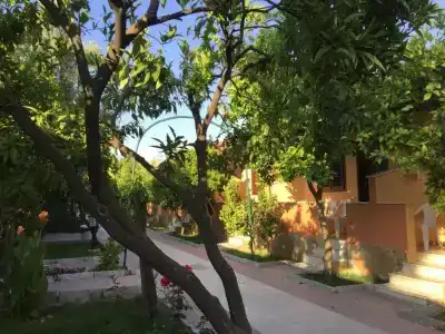 Ozlem Garden - 63