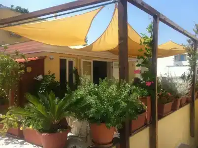 b&b Celestina Ischia - 17