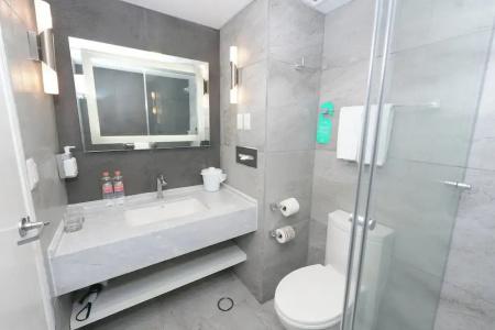 Holiday Inn Queretaro Centro Historico, An Ihg - 140