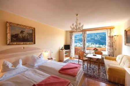 Alpenblick - 28