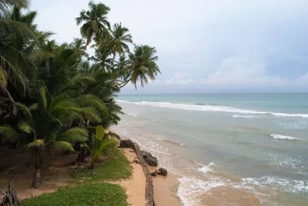 Ocean Reef - 15
