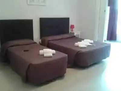 Balmes Centro - 29