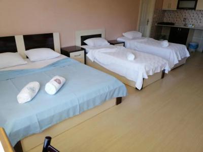 Mina apart otel - 43