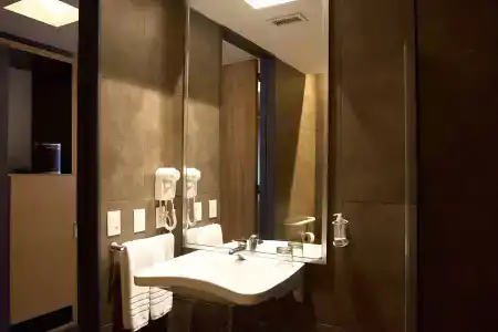 Esplendor by Wyndham Buenos Aires - 9