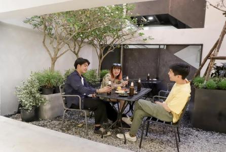 Chocolate box mint - 10