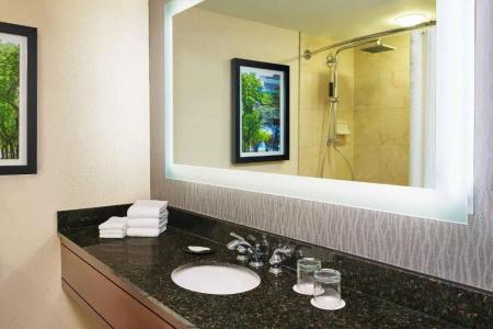The Westin Michigan Avenue Chicago - 68