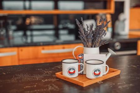 Eco Boutique Ams Beagle - 67