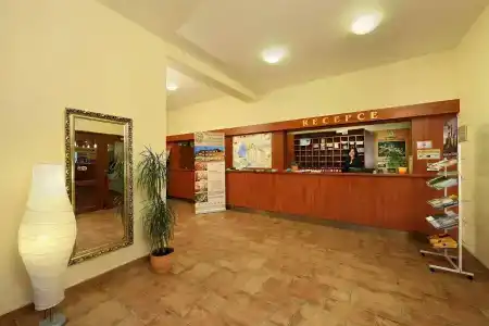 Záviš z Falkenštejna - 25