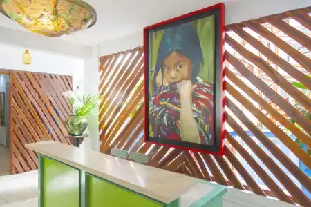 Mestizo Gallery - 4