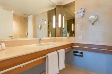 Holiday Inn Nice - Port St Laurent, An Ihg - 123