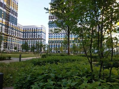Белая квартира на Варшавском шоссе 141 - 33