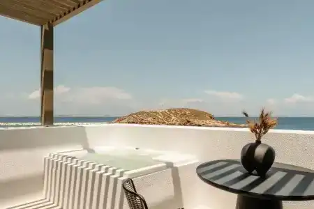 Naxos Rhyton - 199