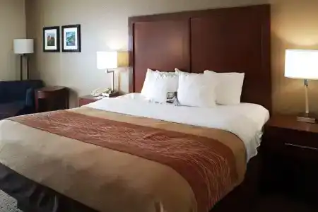 Comfort Inn I-10 West at 51st Ave - 31
