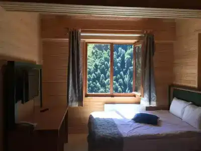 Ayder Doga Resort - 28