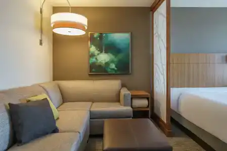 Hyatt Place Houston Galleria - 3