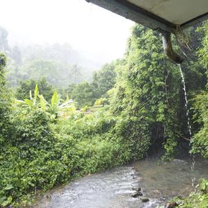 Tree Tops River Huts - 48