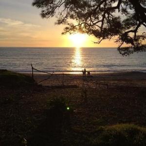 Chakra Beach Kabak - 23