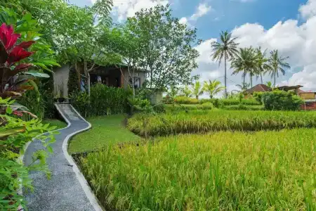 Cahaya - 128