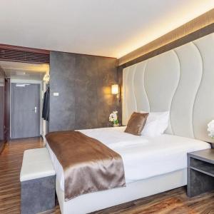 Best Western Plus Plaza Darmstadt - 46