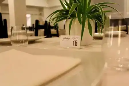 Aldero - 19