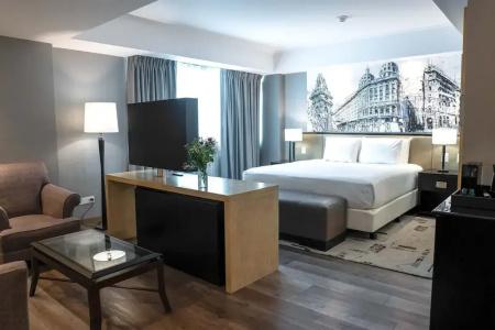 Melia Buenos Aires - 149