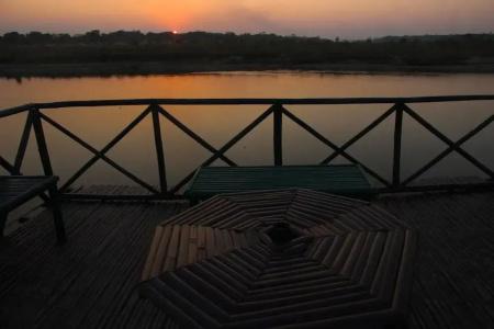 Jungle Sunset Camp - 9