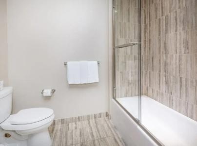 The Collection at the Ritz Carlton Residences - 115