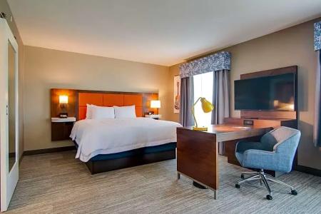 Hampton Inn & Suites by Hilton Nashville North Skyline - 58
